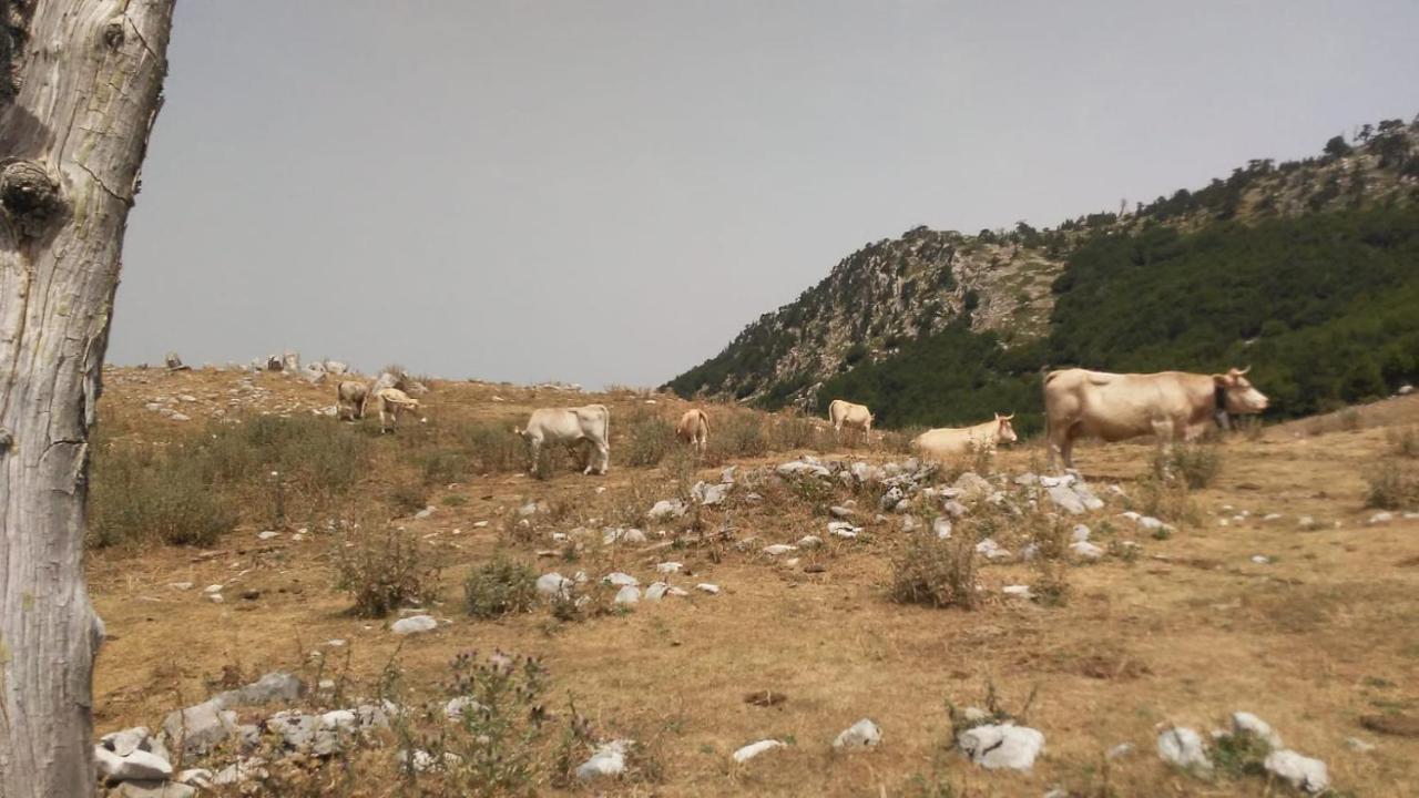 Mille E Una Notte San Severino Lucano Zewnętrze zdjęcie